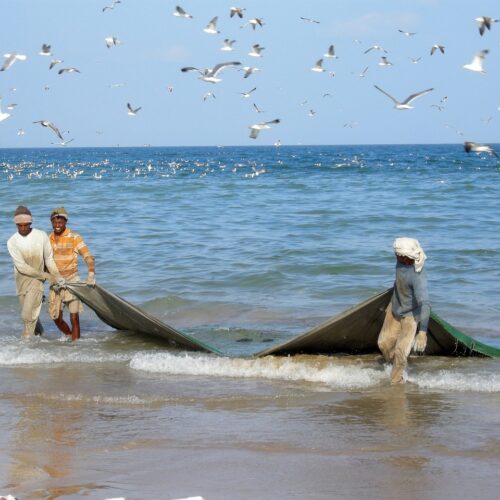 OMAN-viaggi in bus da torino pescatori