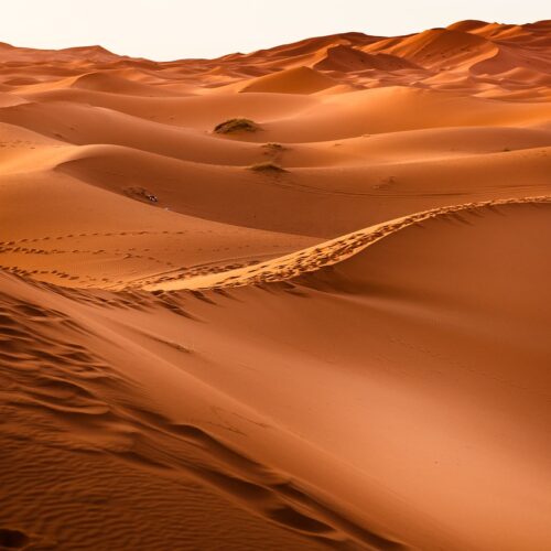 deserto del Marocco