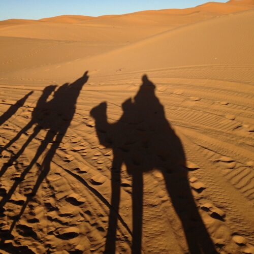 attraversamento del deserto con i cammelli