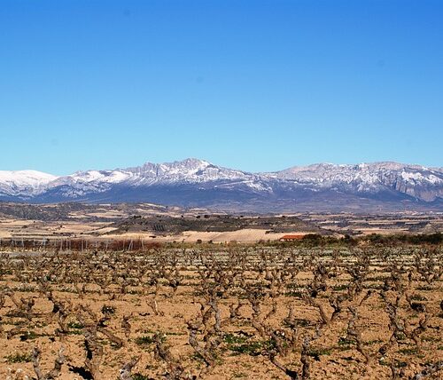 panorama la Rioja