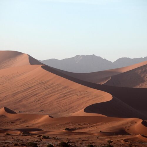 seriana viaggi nel deserto tour