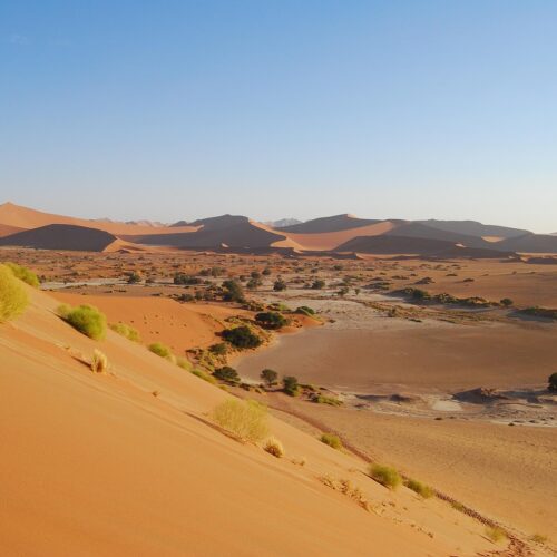 korakane travel nel deserto e nella savana